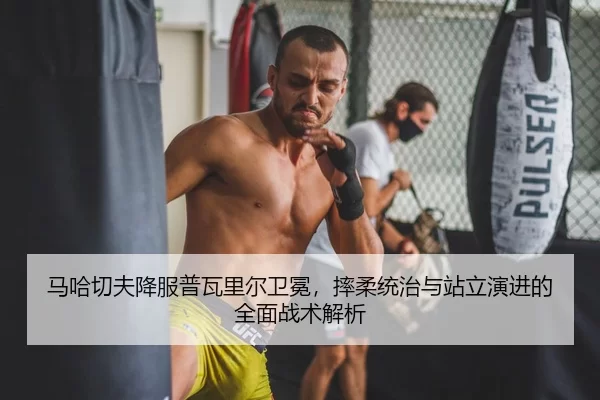 ma-ha-qie-fu-xiang-fu-pu-wa-li-er-wei-mian-shuai-rou-tong-zhi-yu-zhan-li-yan-jin-de-quan-mian-zhan-shu-jie-xi-2-922.jpg